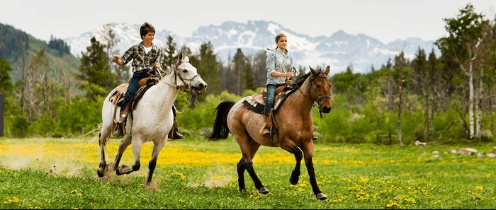 Confident plus-size woman riding Isleworth a horse through a field with a smile on her face.